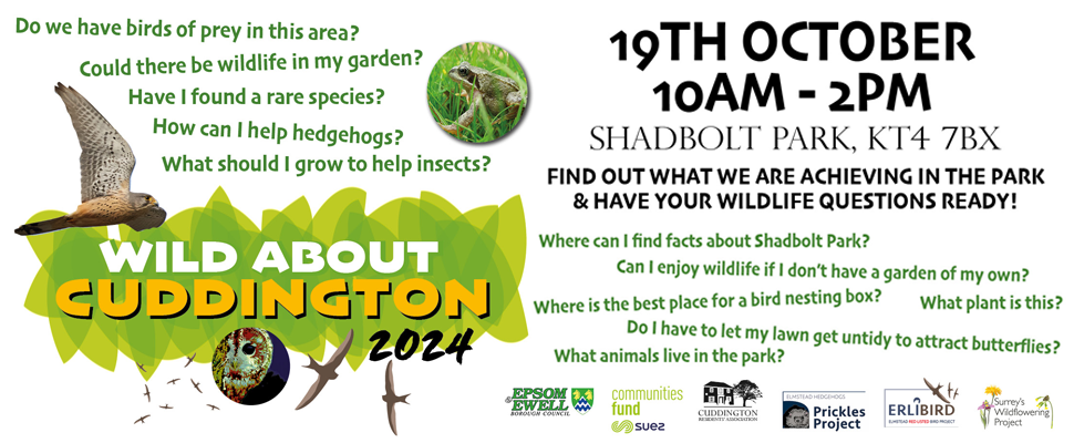 Wildlife event October 19th 2024 in Shadbolt Park, Borough of Epsom and Ewell